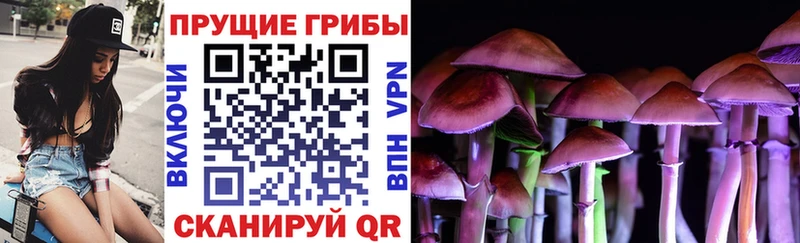 Галлюциногенные грибы Magic Shrooms  shop состав  Байкальск  где продают наркотики 